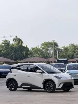 New BYD Seagull 2025 Gray