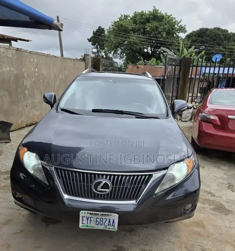 Lexus RX 2012 Gray