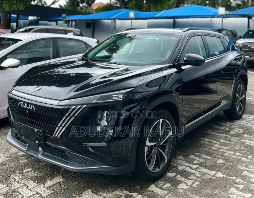 Dongfeng Rich 7 2025 Black