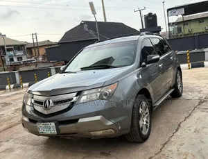 Acura MDX 2008 Gray