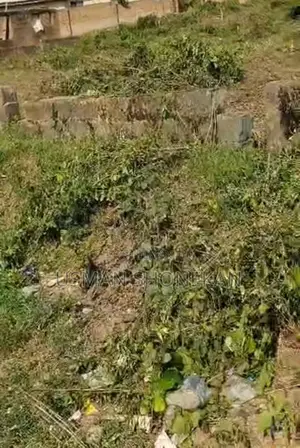 Standard 2 Plots of Land
