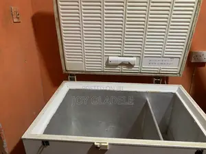 Neatly Used Electrolux Deep Freezer