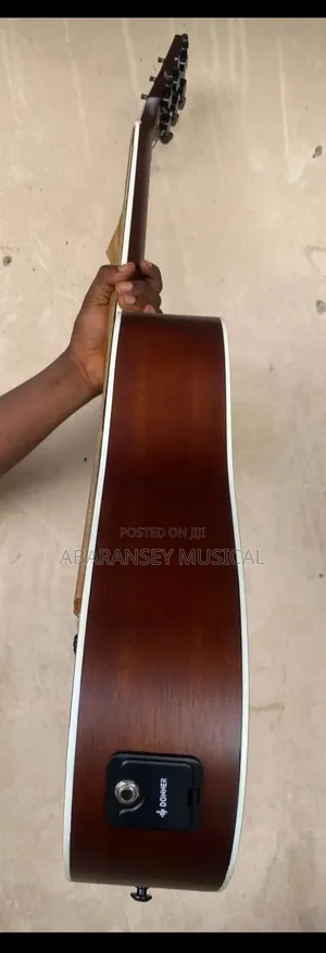 Semi Acoustic Guiter