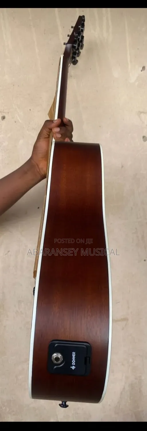 Semi Acoustic Guiter