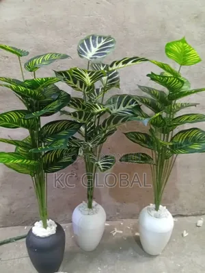 Home of Quality Flower Available