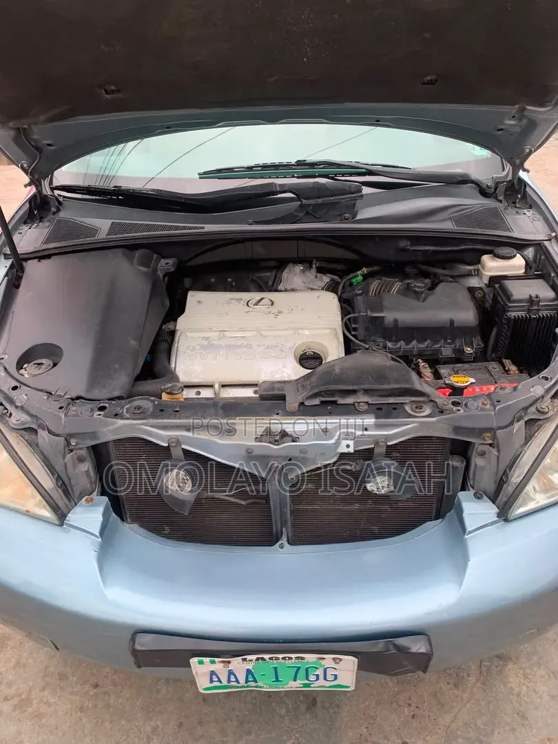 Lexus RX 2006 Blue