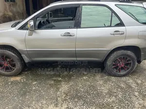 Lexus RX 300 4WD 2001 Gray