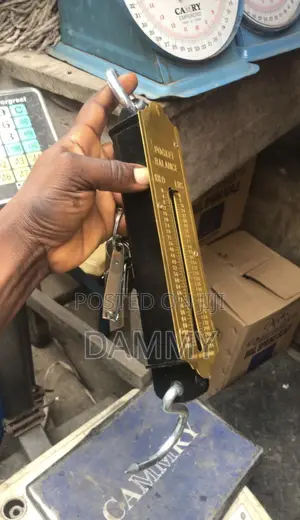 Pocket Balance Spring Scale