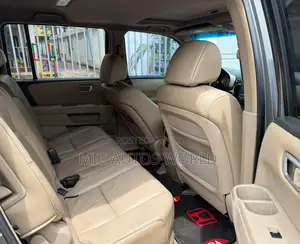 Honda Pilot 2009 Gray