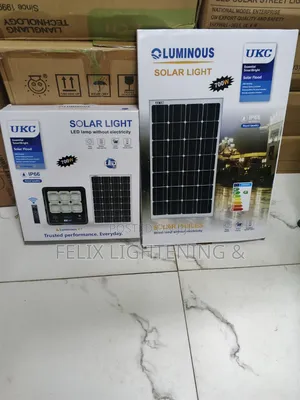 Warm White Solar Flood Light