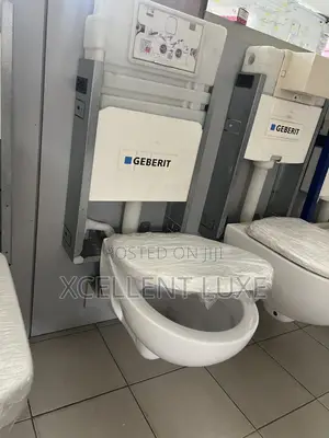 Geberit Bastia Concealed Wc 