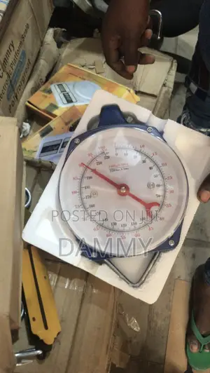 Camry-brand Analog Hanging Scale
