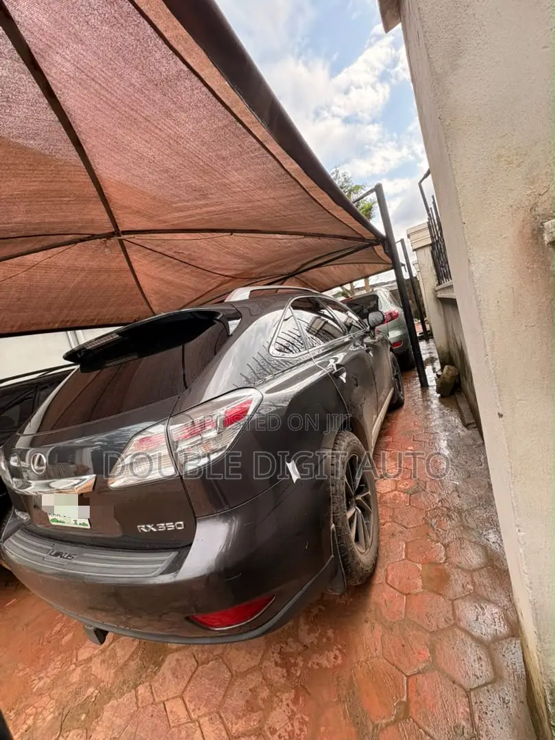 Lexus RX 2010 Black
