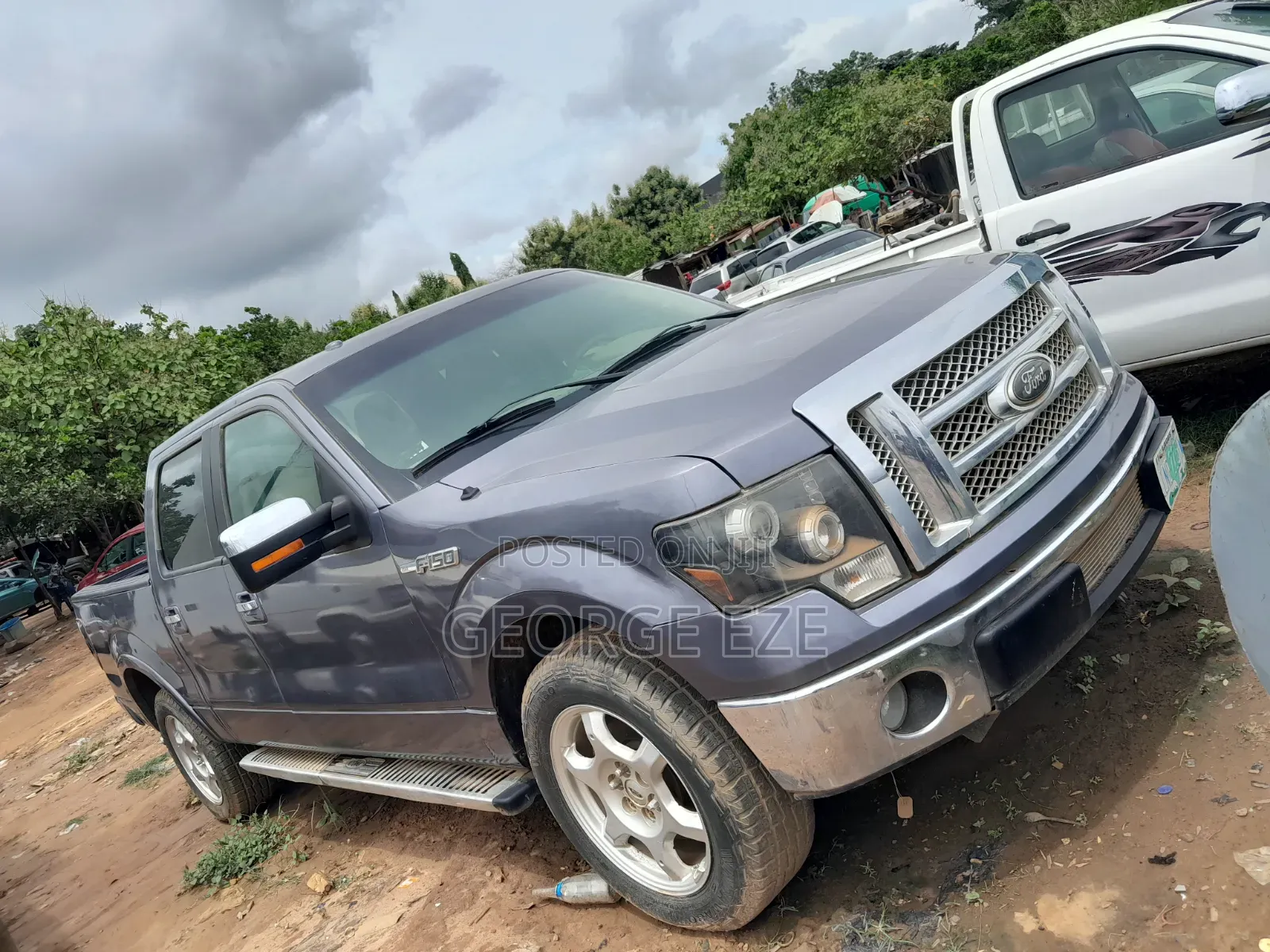 Ford F-150 2010 Gray