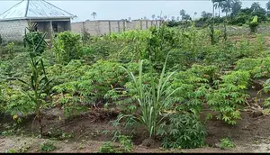Land Property