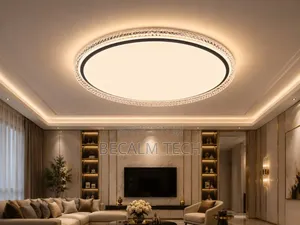 Ceiling Light