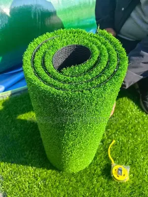 Luxury Capet Grass