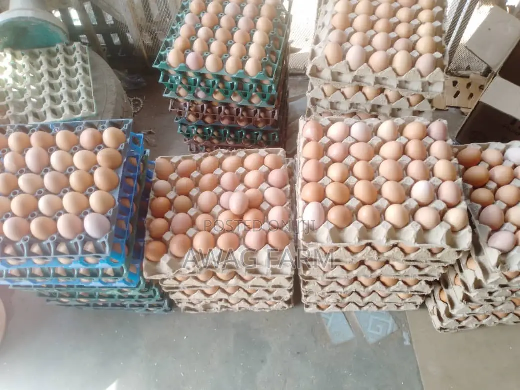 Eggs For Sale