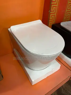 Original Wall Hung Water Closet the Choice Product