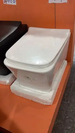 Original Wall Hung Water Closet the Choice Product