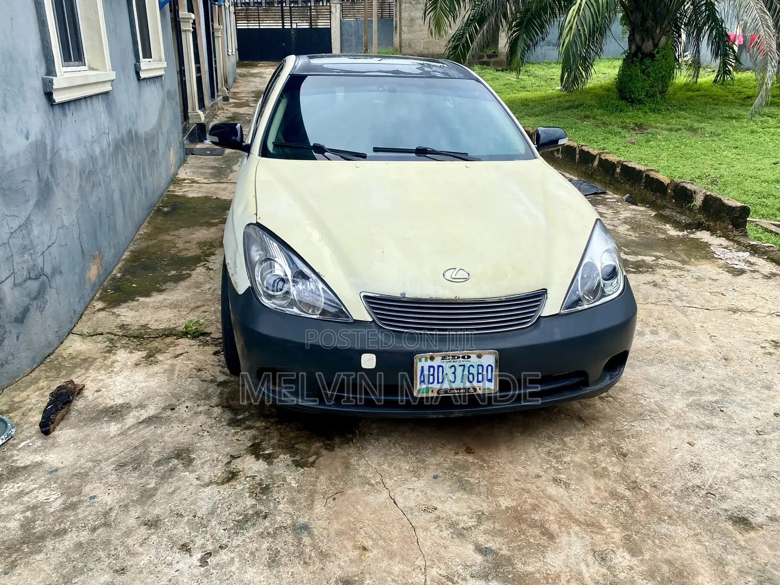 Lexus ES 330 2006 White