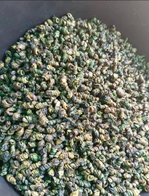 Dehydrated Periwinkles