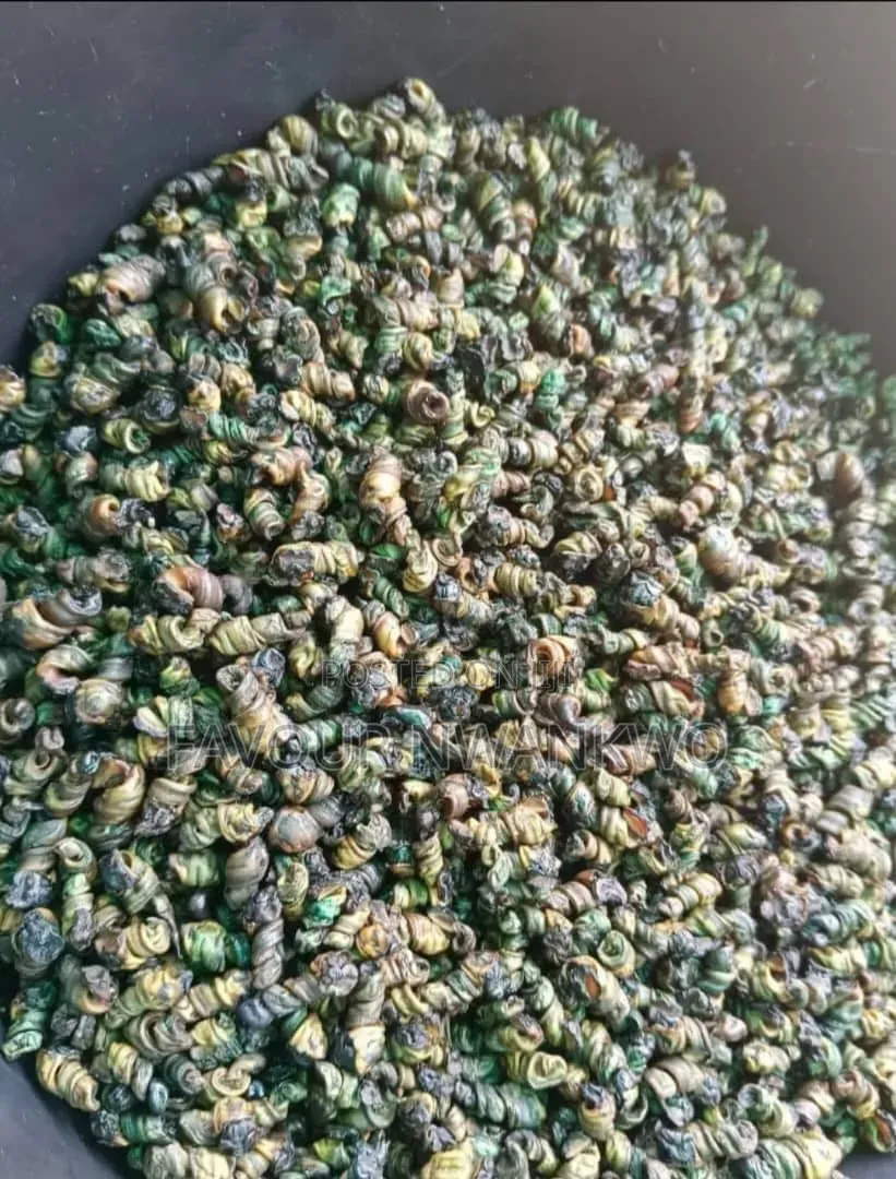 Dehydrated Periwinkles