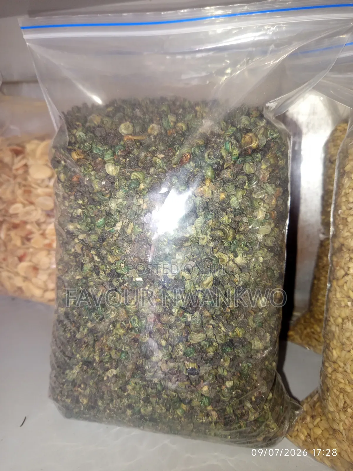 Dehydrated Periwinkles