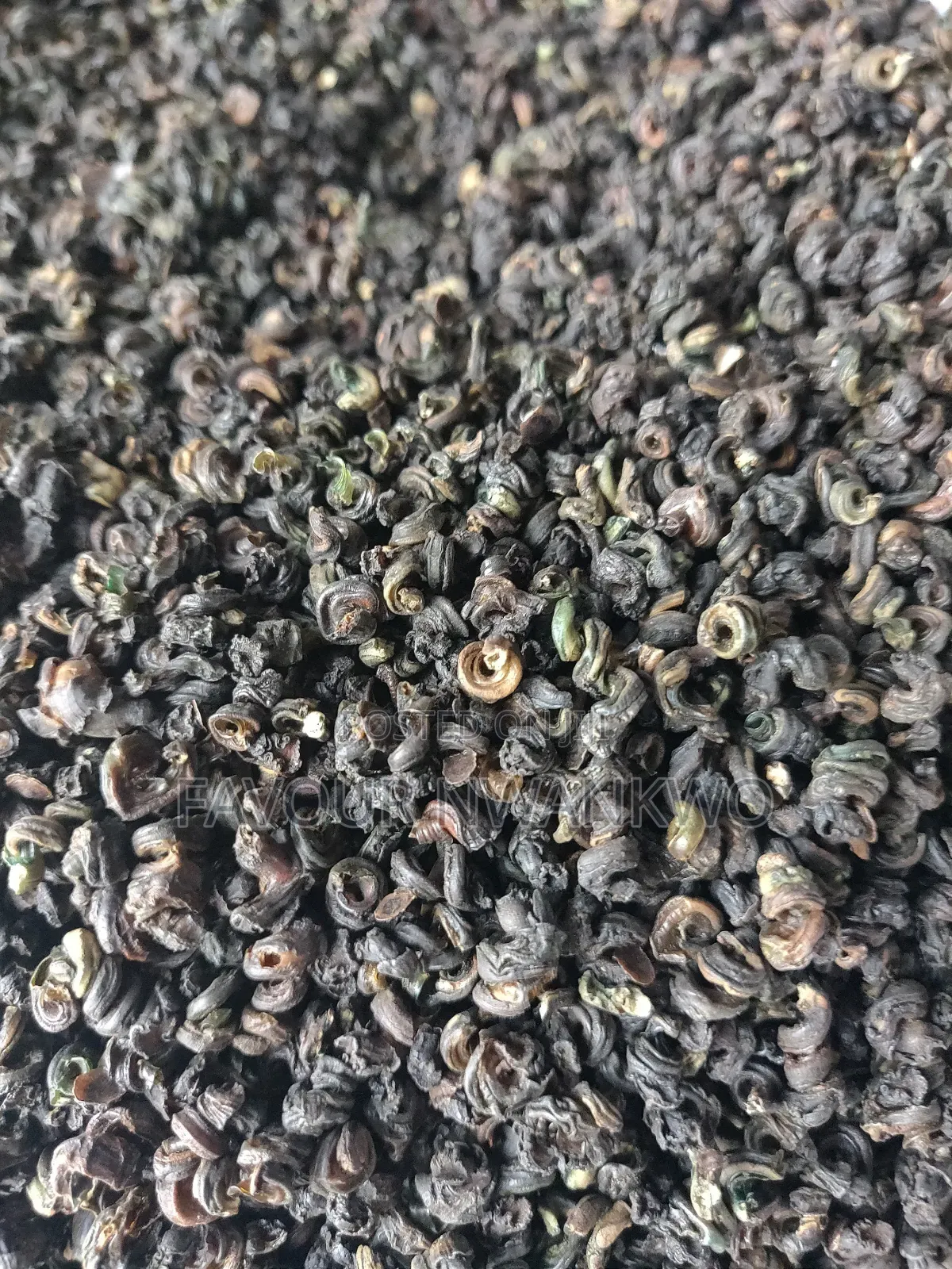 Dehydrated Periwinkles