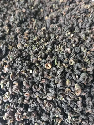 Dehydrated Periwinkles