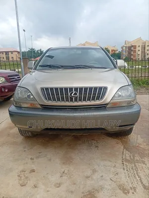 Lexus RX 2000 Gray