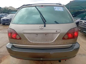 Lexus RX 2000 Gray
