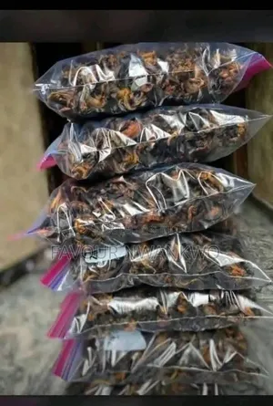 Dehydrated Snails