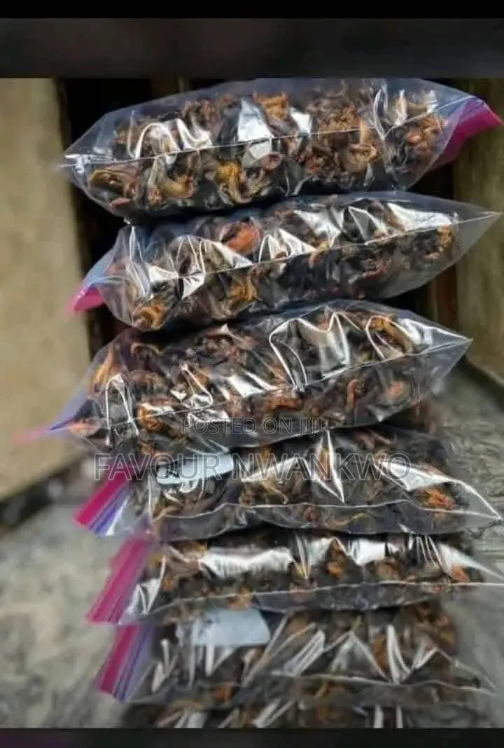 Dehydrated Snails