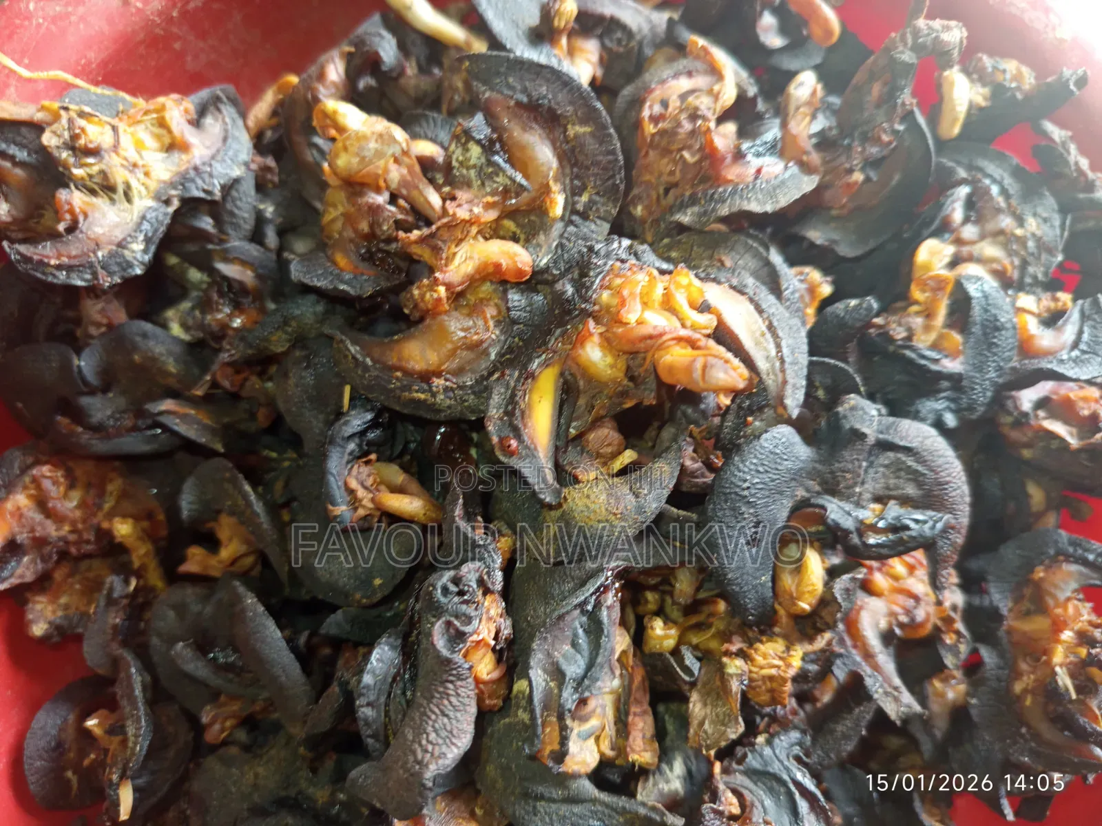 Dehydrated Snails