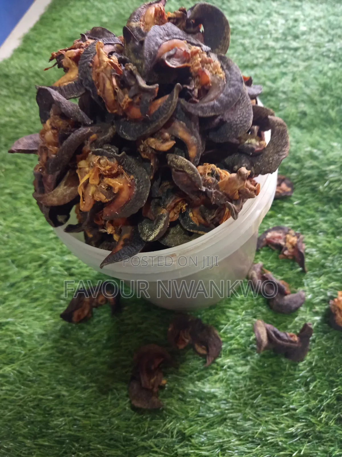 Dehydrated Snails