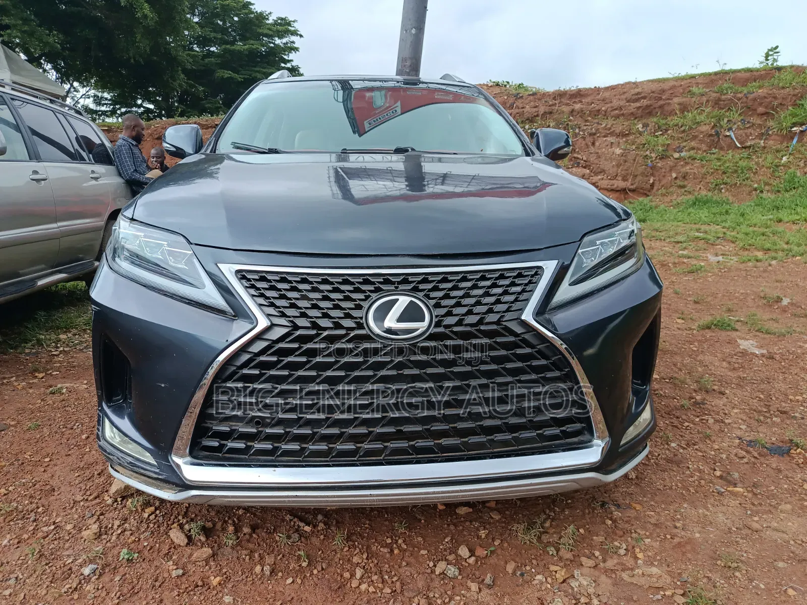 Lexus RX 2013 Gray