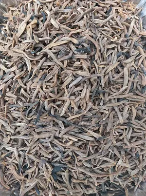 Dry Locust Beans and Oil Bean Seed