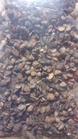 Dry Locust Beans and Oil Bean Seed