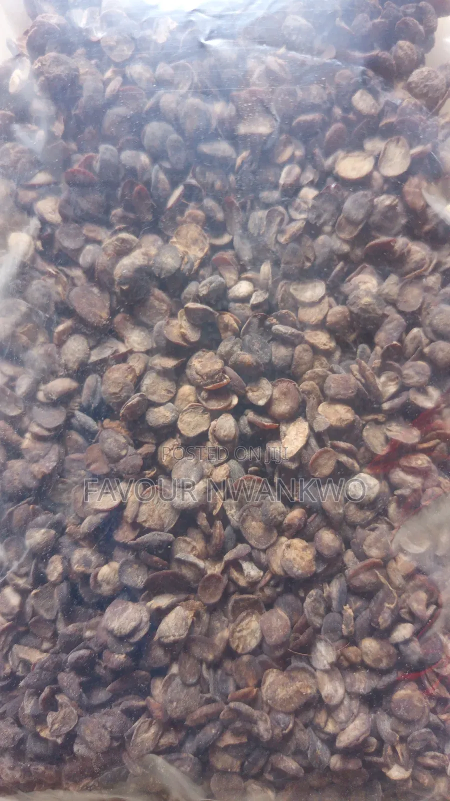 Dry Locust Beans and Oil Bean Seed