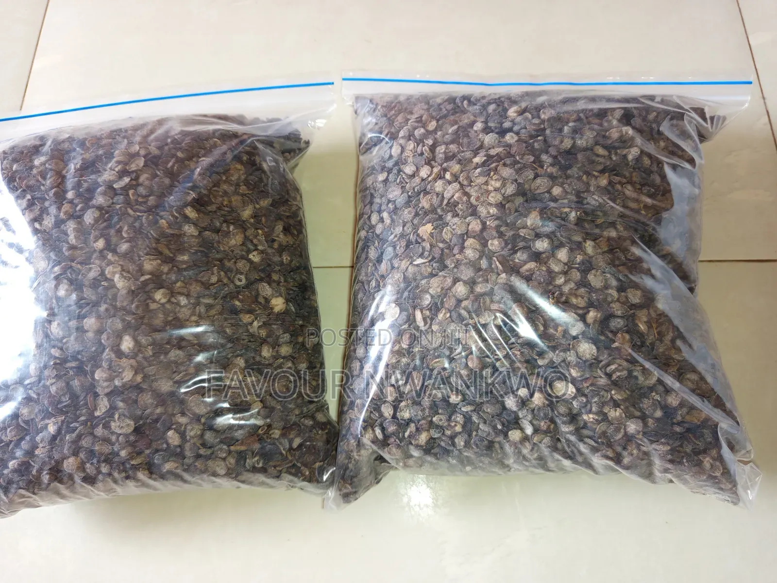Dry Locust Beans and Oil Bean Seed