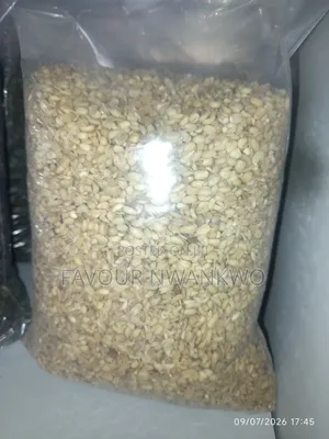 Dry Ukwa (Breadfruit In Igbo)