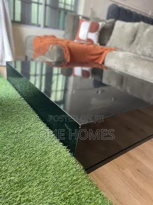 Plain Black Slick Coffee Center Table.