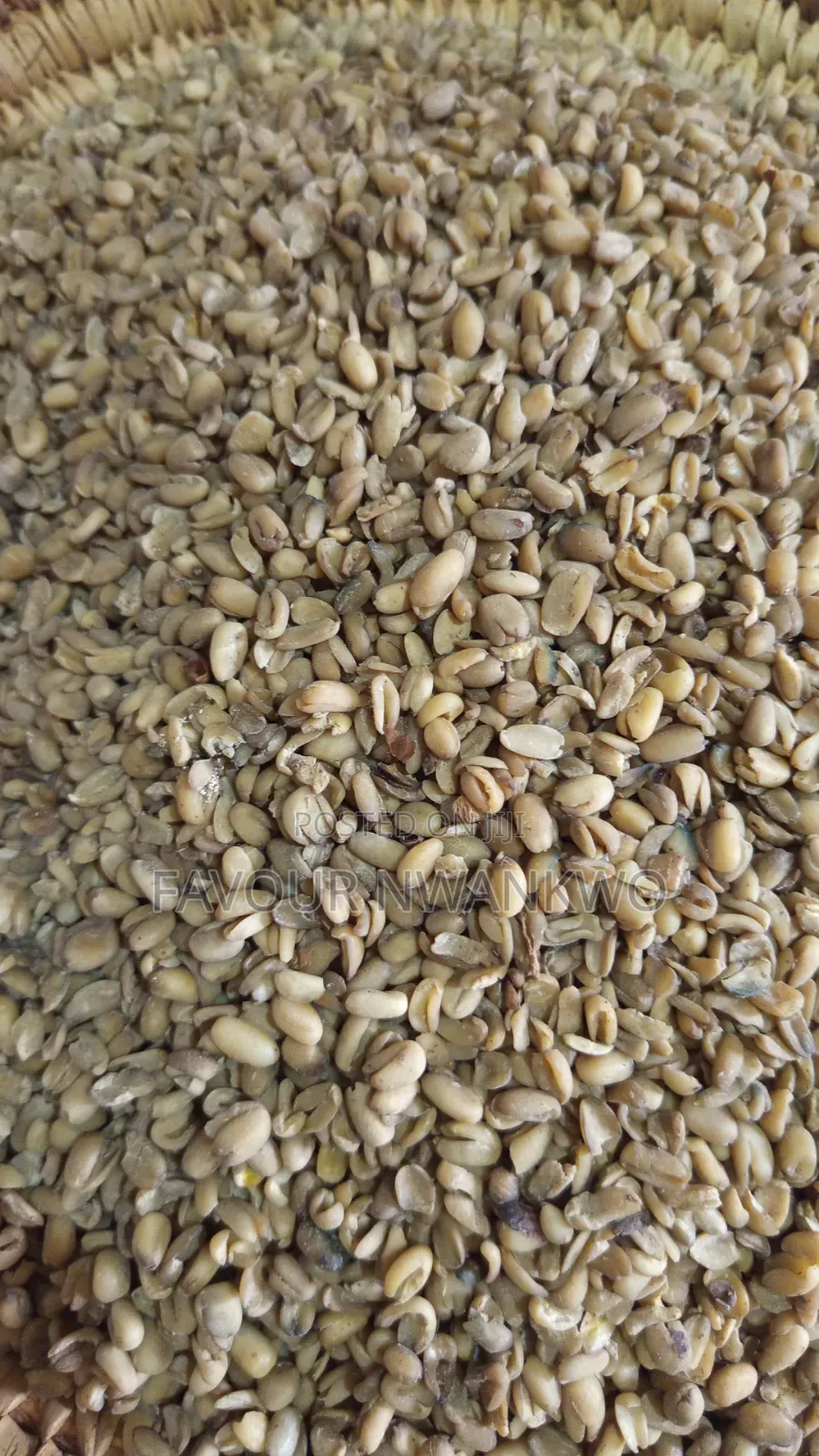 Dry Ukwa (Breadfruit In Igbo)