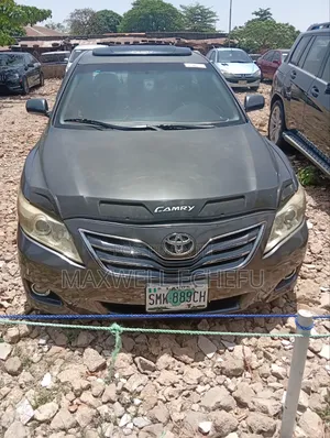 Toyota Camry XLE V6 4dr Sedan (3.5L 6cyl 6AM) 2009 Gray
