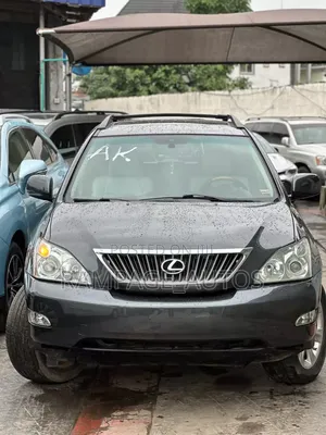 Lexus RX 2008 Gray