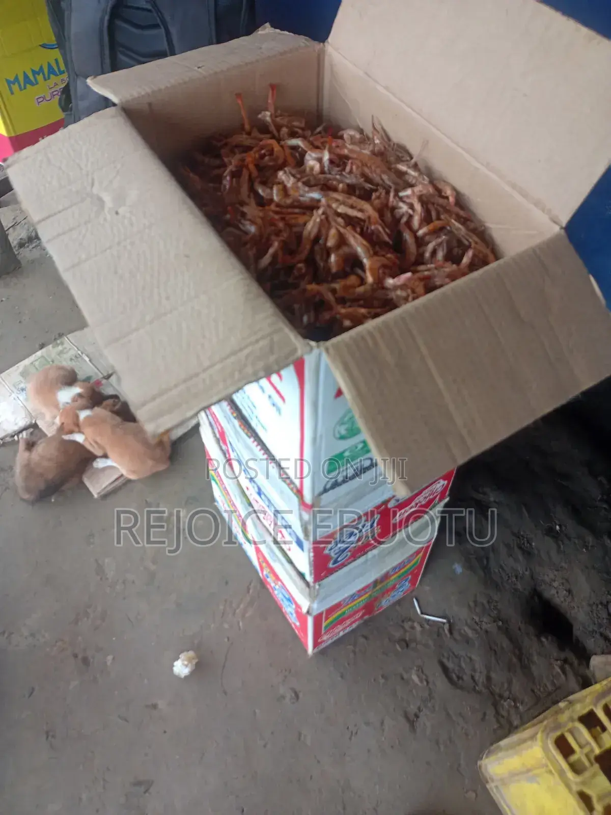 Dried Oporo/Prawns