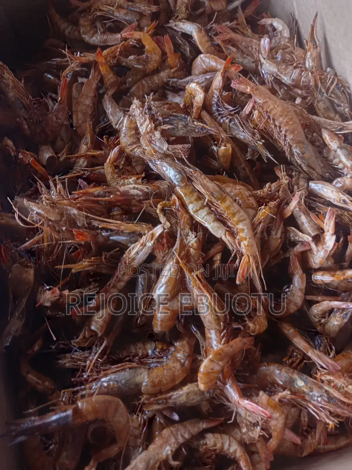 Dried Oporo/Prawns