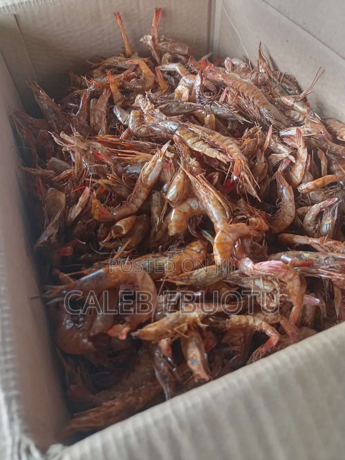 Dried Oporo/Prawns