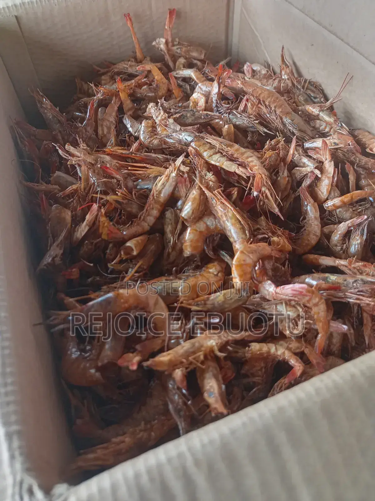 Dried Oporo/Prawns